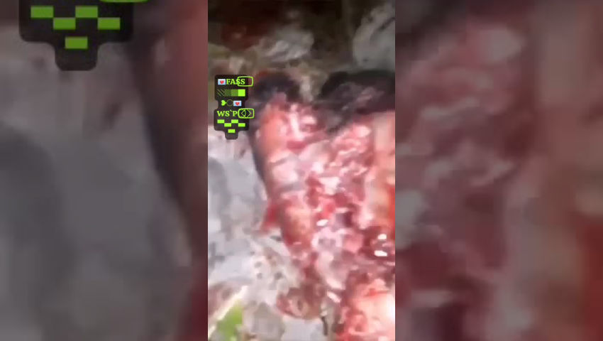 Cut in pieces - GoreSee - Death is Watching over You