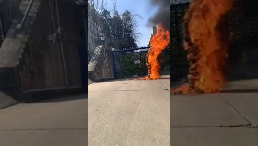Retardet soldier burns himself for GAZA fucking sandnigger lover - GoreSee - Death is Watching over You