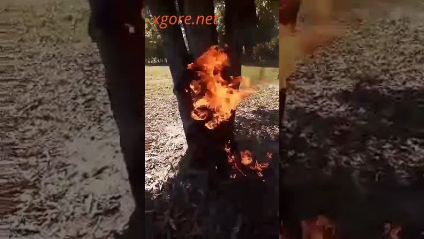 Man burned alive - GoreSee - Death is Watching over You